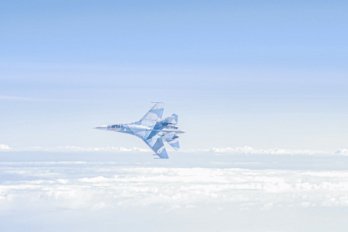 Російські літаки над Балтійським морем. Фото: Team Luftwaffe