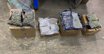 На Львівській митниці виявили понад 4 кг наркотиків у поштових посилках – 02