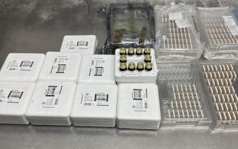 У Шегинях митники вилучили омолоджуючі препарати – 03