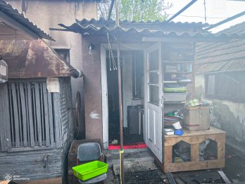 На Закарпатті через пожежу в будинку загинули 19 котів – 03