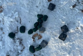 У лісі біля Львова затримали 22-річного чоловіка з “закладками” канабісу – 01