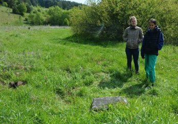 На Золочівщині розкопали камінь зі старослов’янськими написами про жителів хутора початку XX ст.