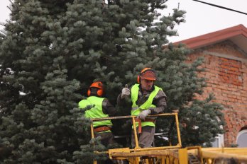 В центрі Львова встановили головну різдвяну ялинку – 02