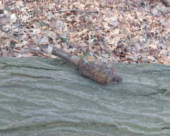Копали лісову дорогу й знайшли артилерійський снаряд: на Львівщині виявили боєприпаси часів Другої світової – 03