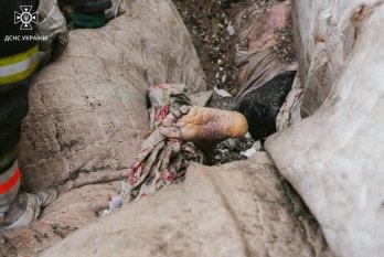 В Одесі з-під завалів багатоповерхівки дістали вже вісьмох загиблих – 04