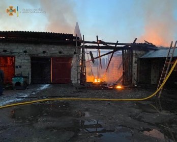 У селі на Червоноградщині горіла господарська будівля, загинули 27 курей – 01