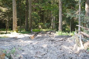 На Дрогобиччині лісовози можуть зруйнувати нещодавно відремонтовану дорогу