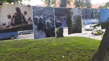 Картина фотохудожника за&nbsp;донат на&nbsp;ЗСУ: у&nbsp;День Конституції у&nbsp;Львові провели благодійну виставку (фото) – 05