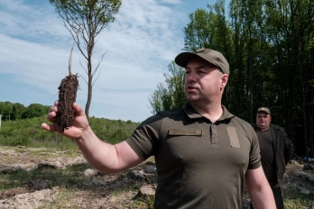 На Львівщині висадили майже 40 тисяч саджанців дерев – 04