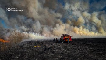 Знищені будівлі та чоловік з опіками: за добу на Львівщині було 189 пожеж сухостою – 01