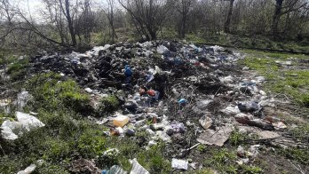 Стихійні сміттєзвалища. Фото: Державна екологічна інспекція у Львівській області