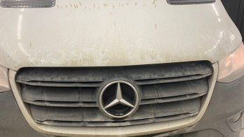 На Львівщині поляк пропонував прикордонникам хабар, щоб вивезти за кордон лемурів