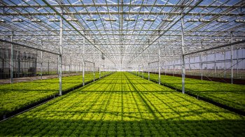 На Львівщині створили електронну мапу інвестицій