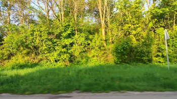 Ділянка, яку виставлять на торги