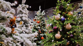 Новорічне дерево на роки: як обрати якісну штучну ялинку