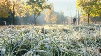 До 2° морозу: на Львівщині 10 травня оголосили метеопопередження