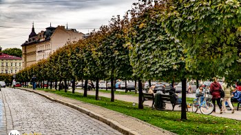 З яких міст до Львова найчастіше приїжджають туристи, розповіли у міськраді