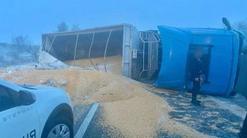 Негода на Одещині: перекинулася вантажівка із зерном, у снігу застрягла карета “швидкої допомоги” (ВІДЕО)