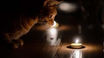 На Львівщині 29 січня діятимуть графіки відключень: скільки не буде світла