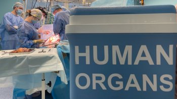 Орган везли з Кам’янця-Подільського: у Львові чоловіку успішно пересадили серце