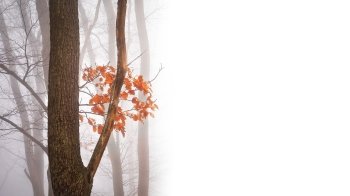 Новини, з якими варто почати цей день