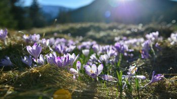 У Львові 29 лютого температура повітря перевищила 24-річний рекорд