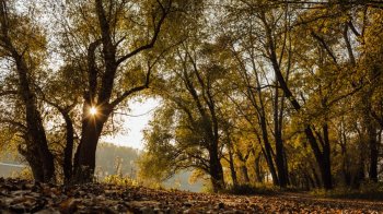 Бабине літо 2025: коли чекати сонячних і теплих днів у жовтні