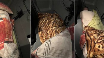 На Львівщині чоловік сховав під ковдрою 21-річного сина, щоб перевезти його до Польщі