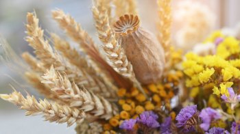 Свято Маковея або Медовий Спас: історія, народні обряди дня та традиційна випічка