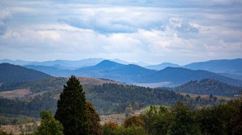 Як працює інтерактивна карта інвестиційної привабливості Львівщини