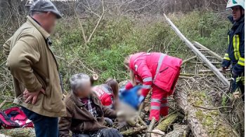 На Львівщині зрізане дерево впало на батька з сином