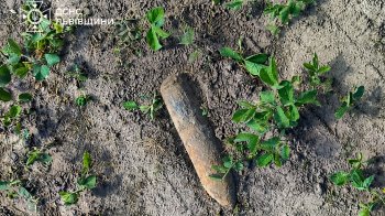 У селі Батьків на Золочивщині знайшли та знищили два 76-мм артснаряди