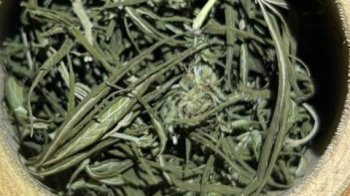 На Львівщині у 23-річного наркоторговця вилучили канабісу на 100 тис. грн