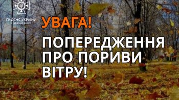 Львівські надзвичайники попередили про сильні пориви вітру у суботу