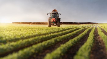 З обласного бюджету Львівщини скерують 1,4 млн грн на допомогу ветеранам