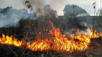 На Яворівщині через пожежу сухої трави 30-річний чоловік отримав опіки