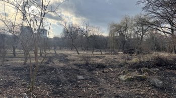 Тенісні корти у львівському парку 700-річчя: конфлікт влади з громадою