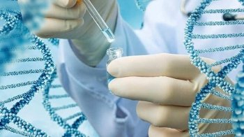 Для пошуку зниклих та ідентифікації тіл: в Україні створять реєстр ДНК