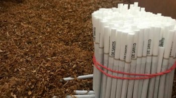 БЕБ провели 24 одночасних обшуки на тютюнових фабриках, зокрема на Львівській