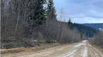 Землю рекреаційного призначення у Східниці продали за 12,1 млн грн