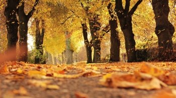 Прогноз погоди на Львівщині: яким буде 6 жовтня