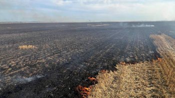 За два дні на Львівщині згоріли майже сім га поля