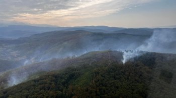 На Закарпатті третю добу намагаються ліквідувати масштабну лісову пожежу: залучили авіацію
