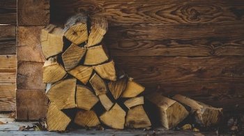 Українці безкоштовно зможуть отримати дрова: кому їх роздаватимуть