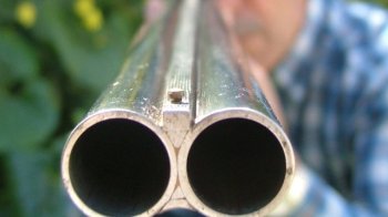 На Волині священник зв’язав скотчем і погрожував рушницею 6-класниці, яка рвала черешні біля храму