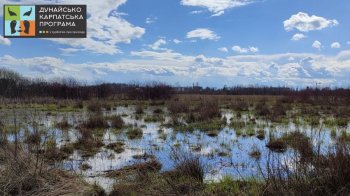 Біля Львова створять новий заказник “Скнилівське карстове поле”