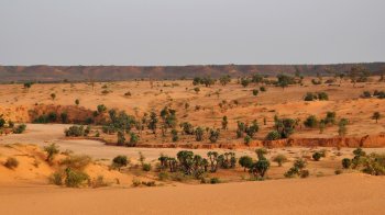 Панорамний вид з вершини дюнина захід від столиці Нігеру Ніамея