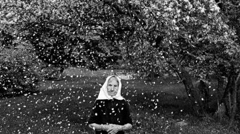 У Львові литовські фотографи покажуть «Цвітіння повсякденності»