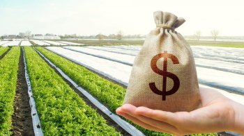 В Україні стартував ринок землі