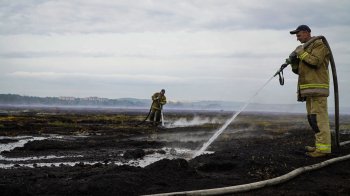 Рятувальники четверту добу гасять масштабну торф’яну пожежу неподалік Львова